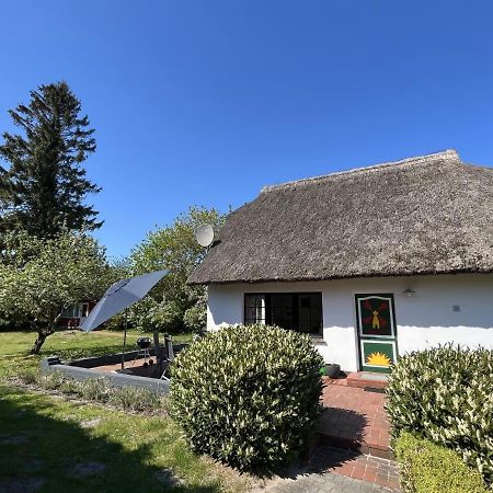 Ferienhaus Ilva In Born Villa Eksteriør bilde