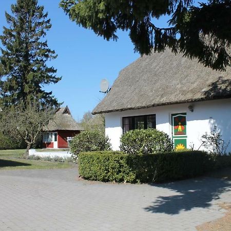 Ferienhaus Ilva In Born Villa Eksteriør bilde