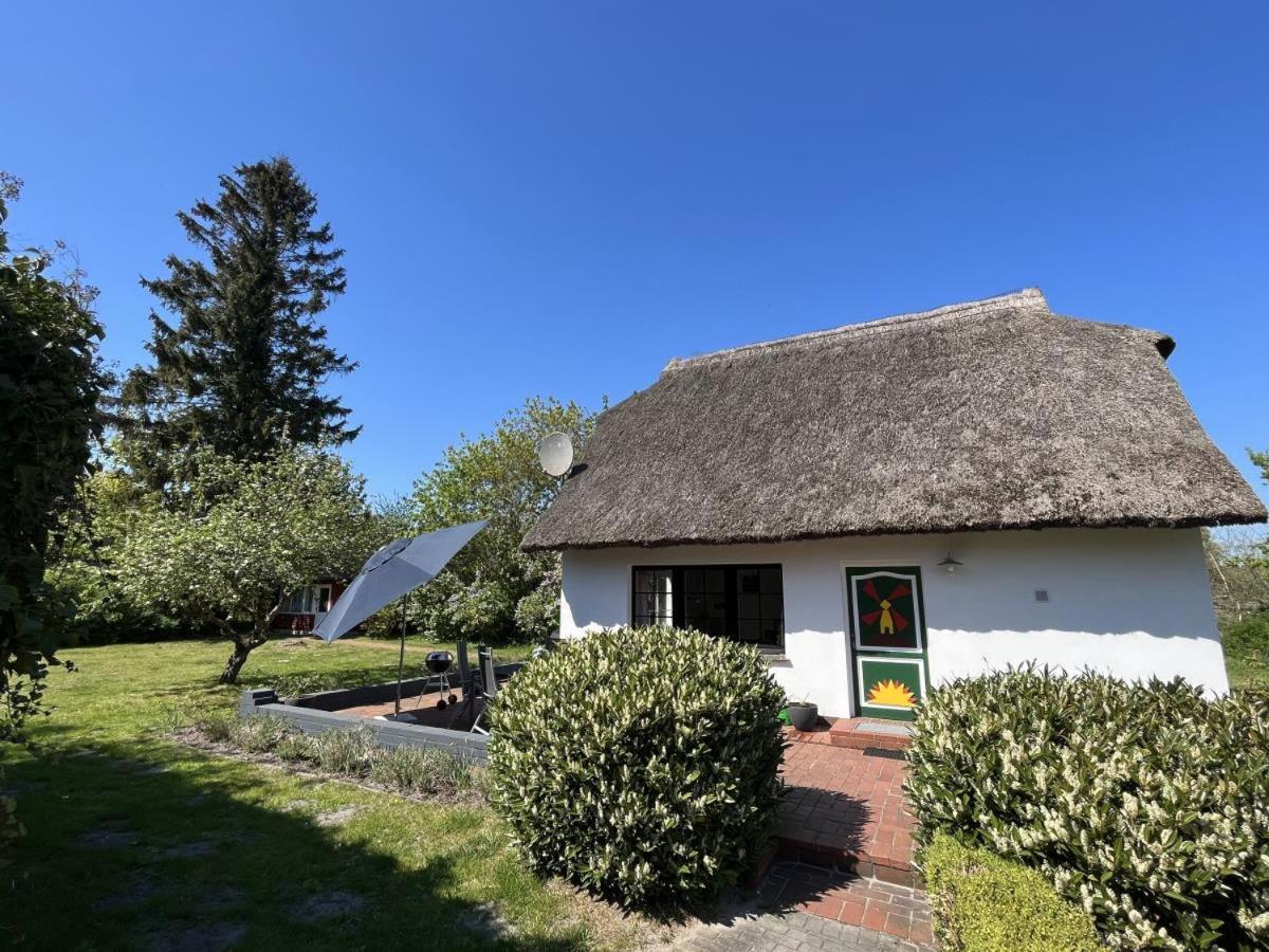 Ferienhaus Ilva In Born Villa Eksteriør bilde