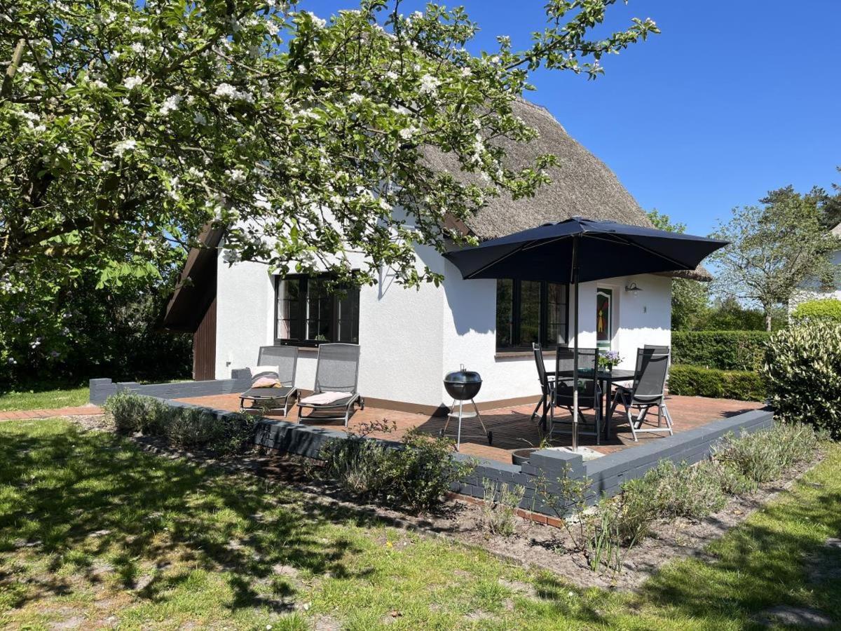 Ferienhaus Ilva In Born Villa Eksteriør bilde