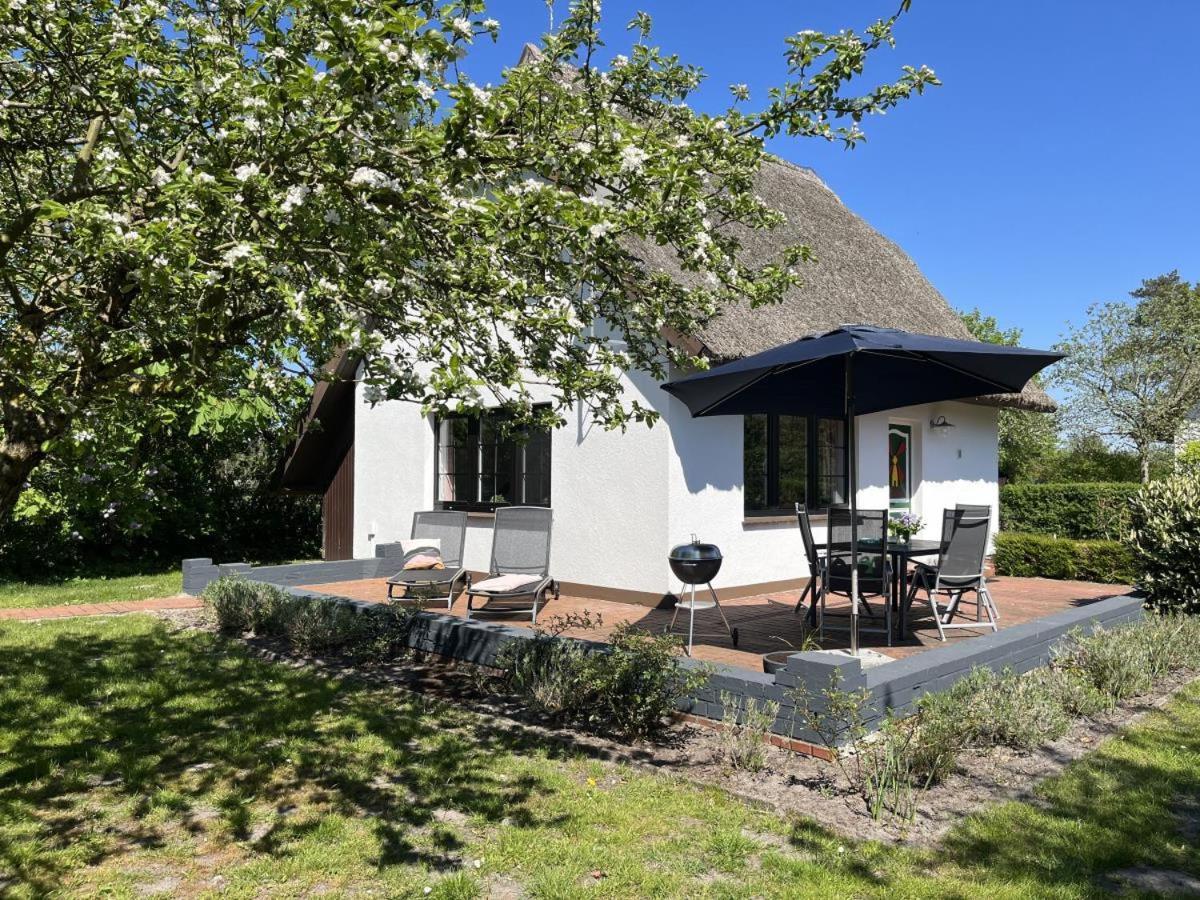 Ferienhaus Ilva In Born Villa Eksteriør bilde