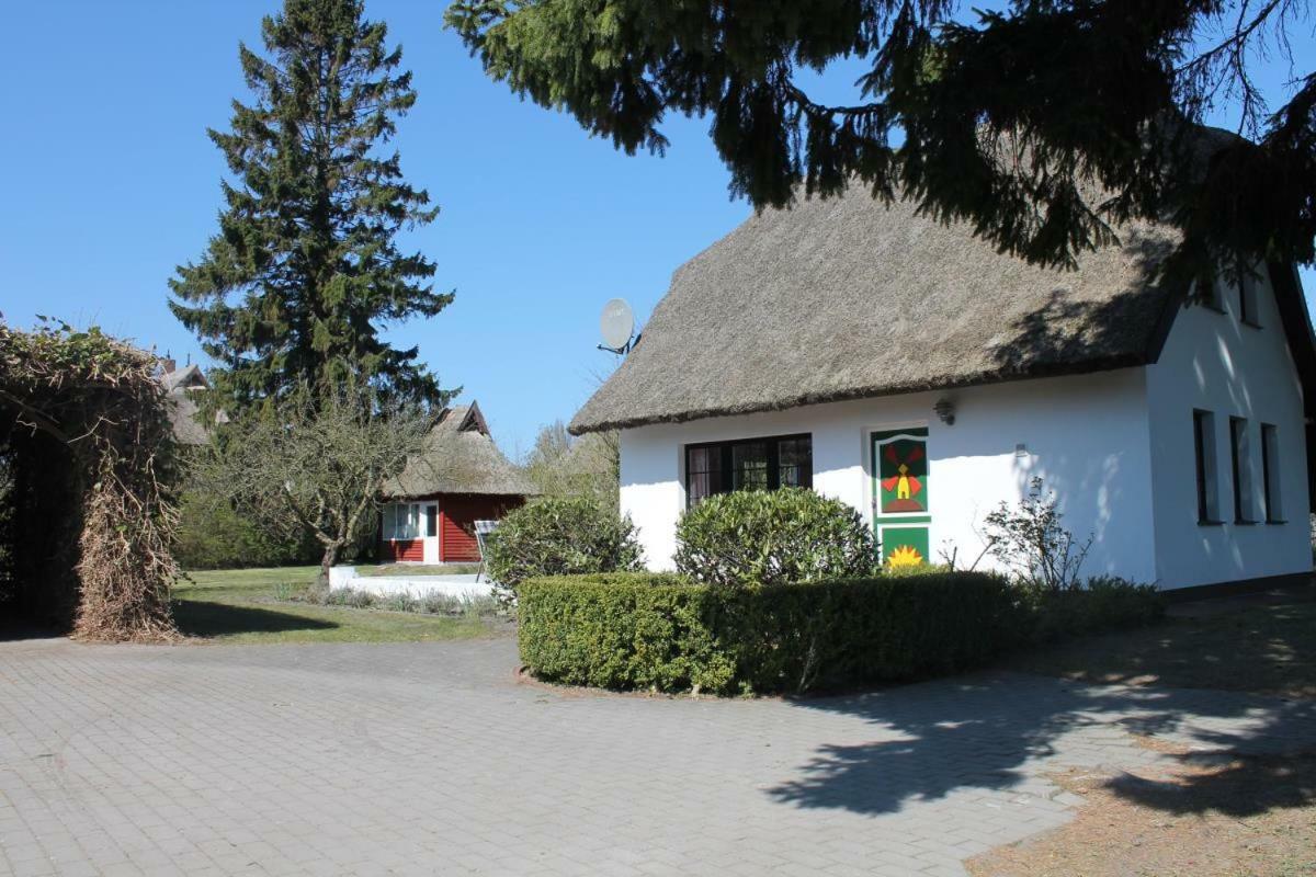 Ferienhaus Ilva In Born Villa Eksteriør bilde
